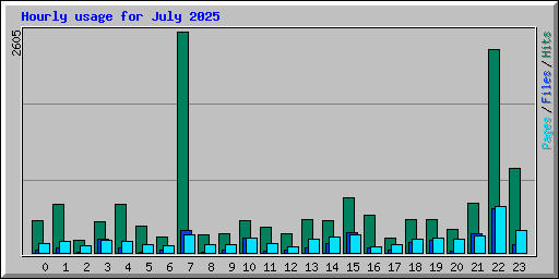 Hourly usage for July 2025