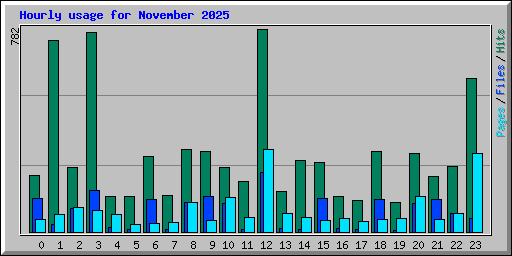 Hourly usage for November 2025
